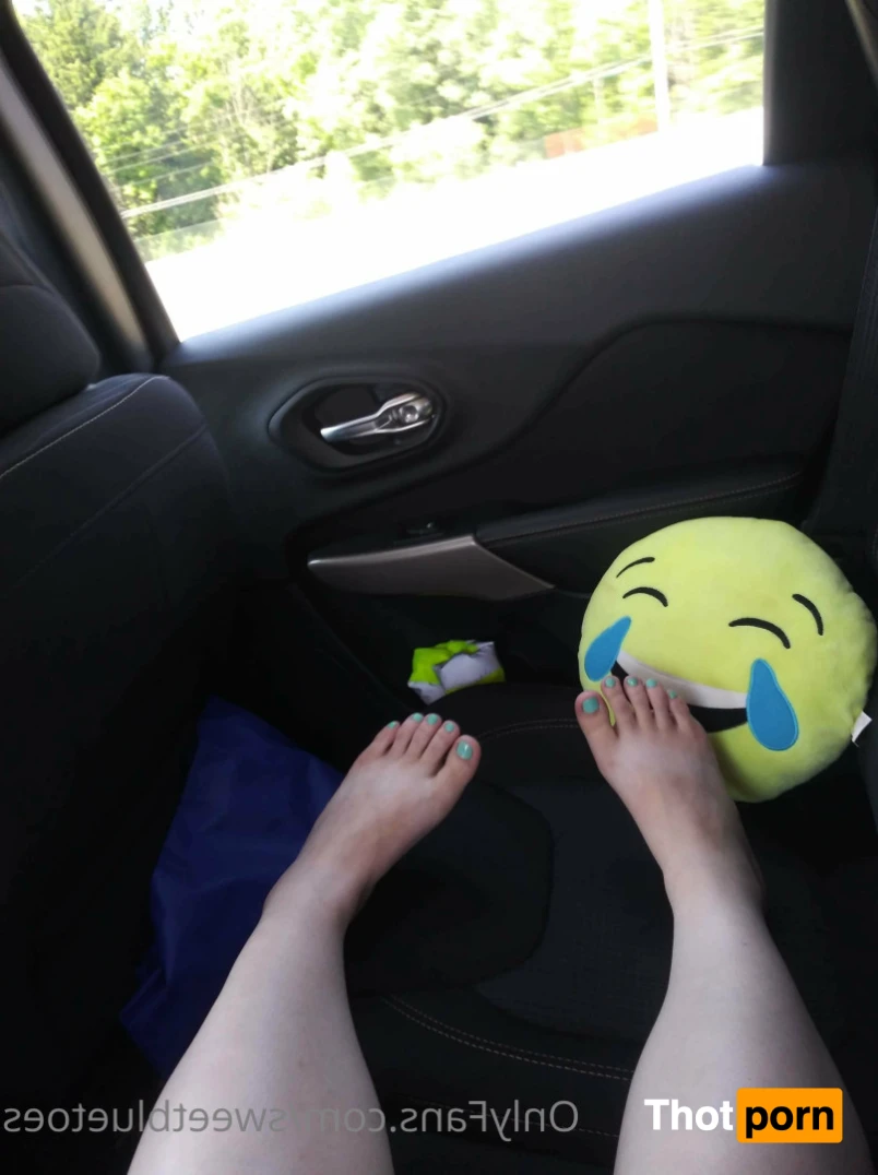 Sweetbluetoes 16359813