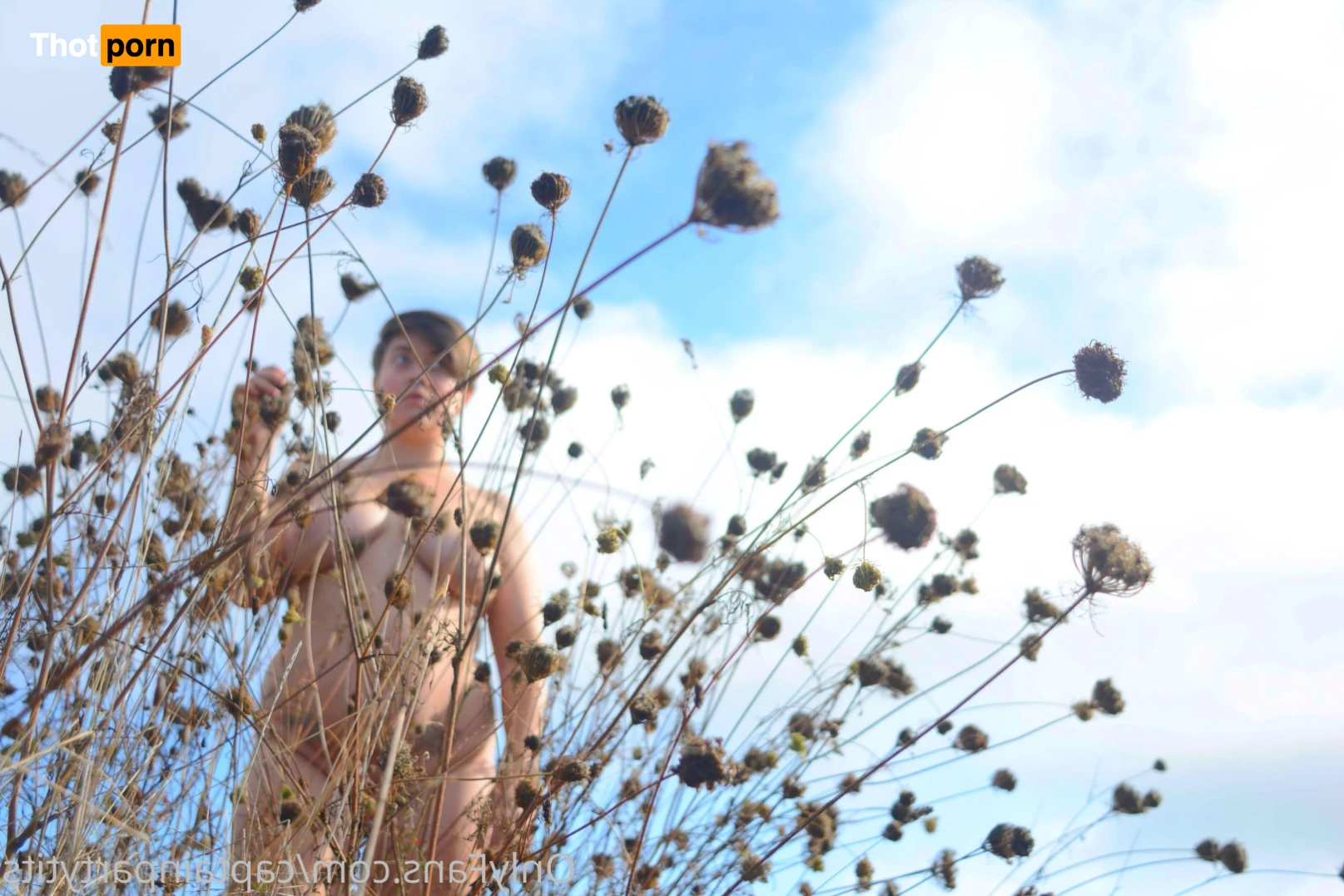 Do not subscribe. 16356290