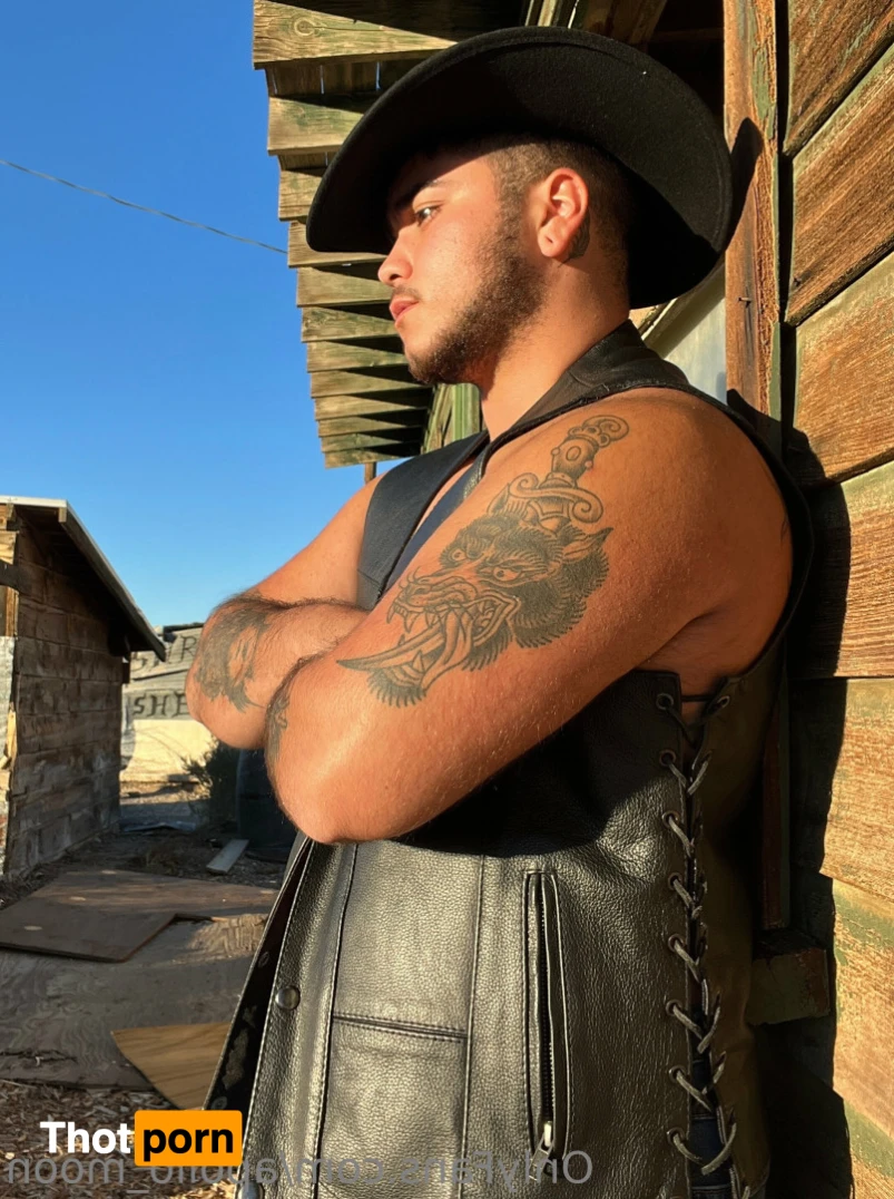 Apollo Moon 14301197