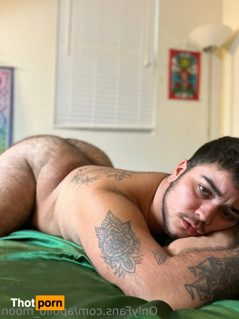 Apollo Moon 14301534