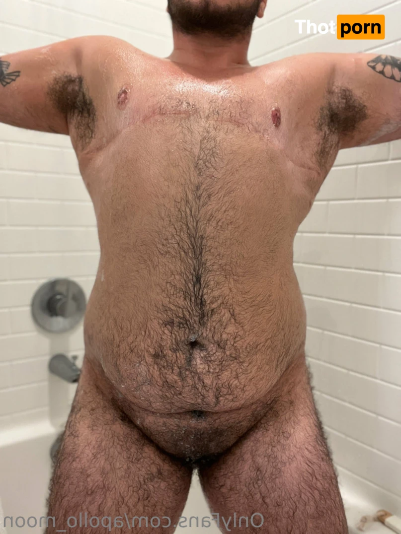 Apollo Moon 14302392