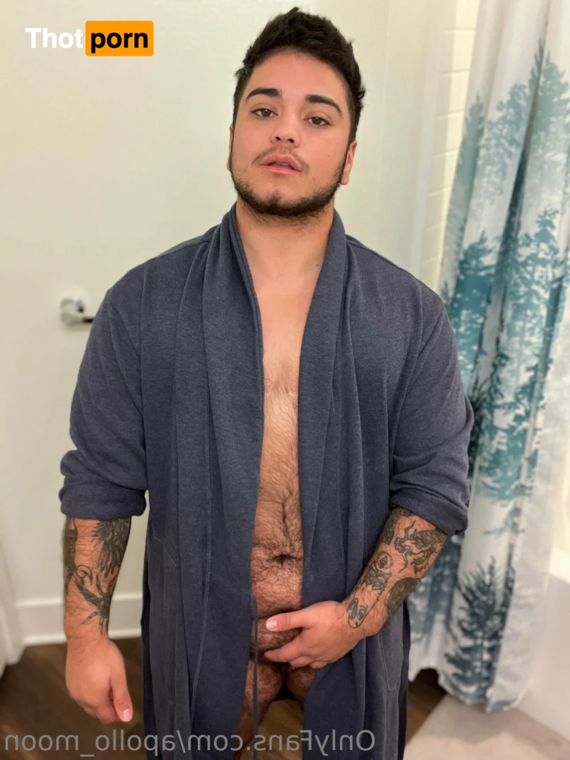 Apollo Moon 14302396