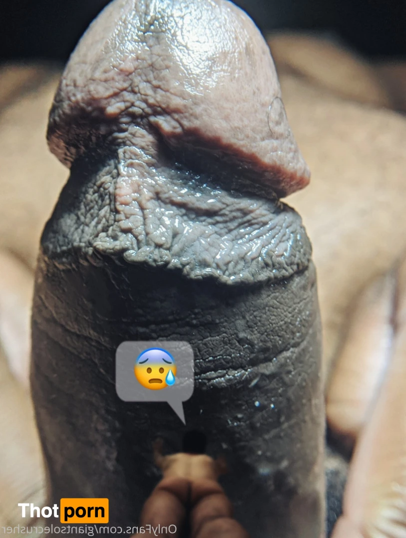 GiantSoleCrusher 15369377