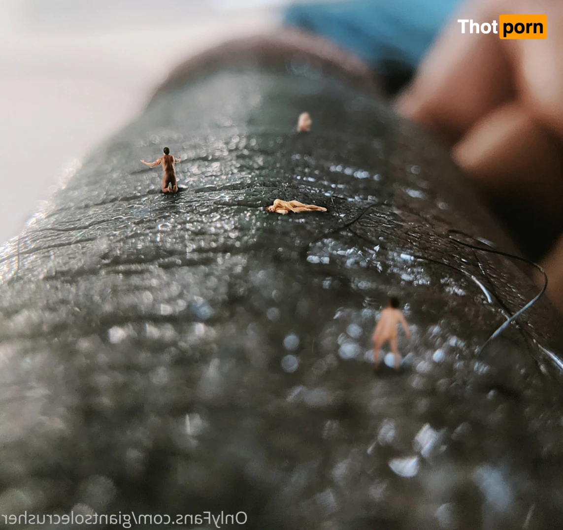 GiantSoleCrusher 15369428