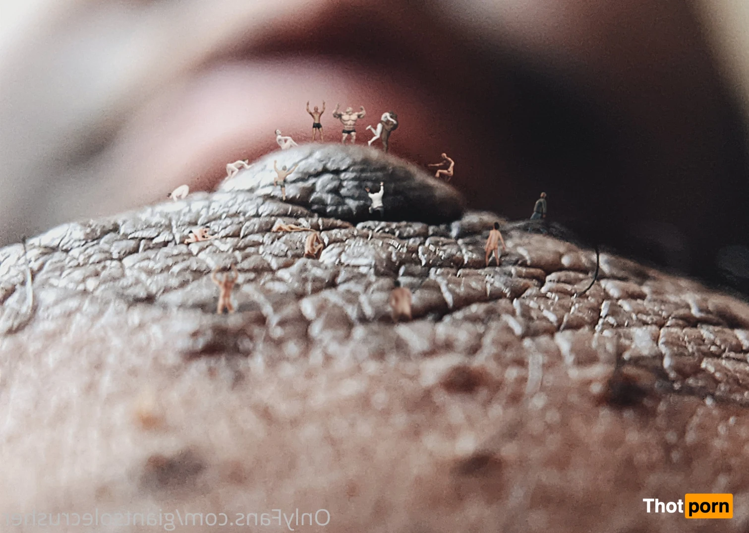 GiantSoleCrusher 15369509