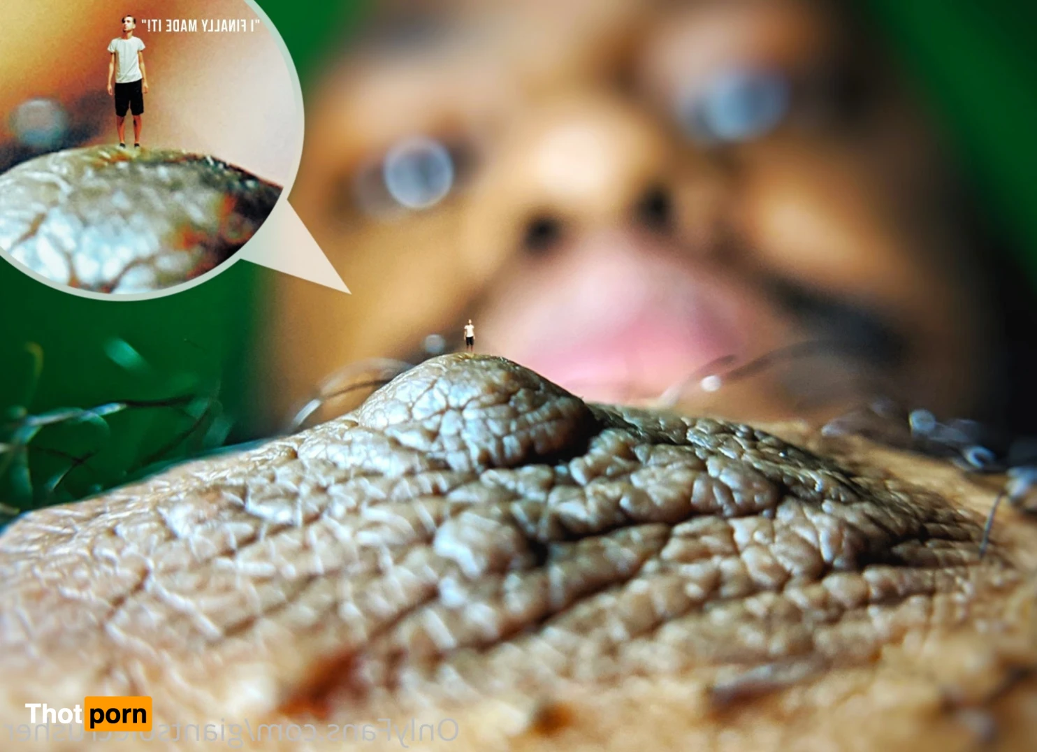 GiantSoleCrusher 15369626