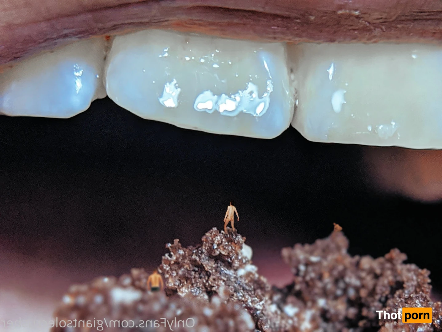 GiantSoleCrusher 15369658