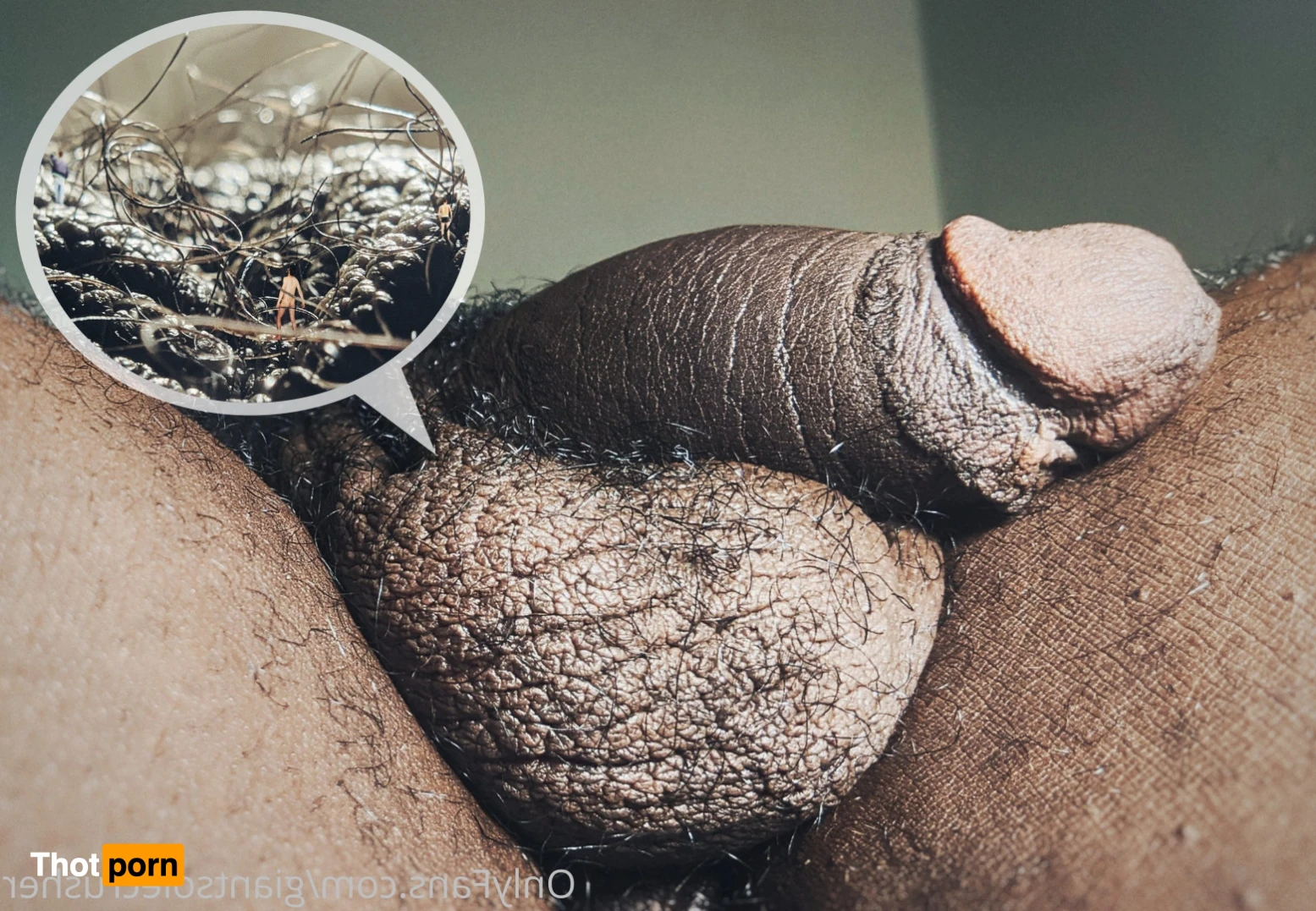 GiantSoleCrusher 15370122