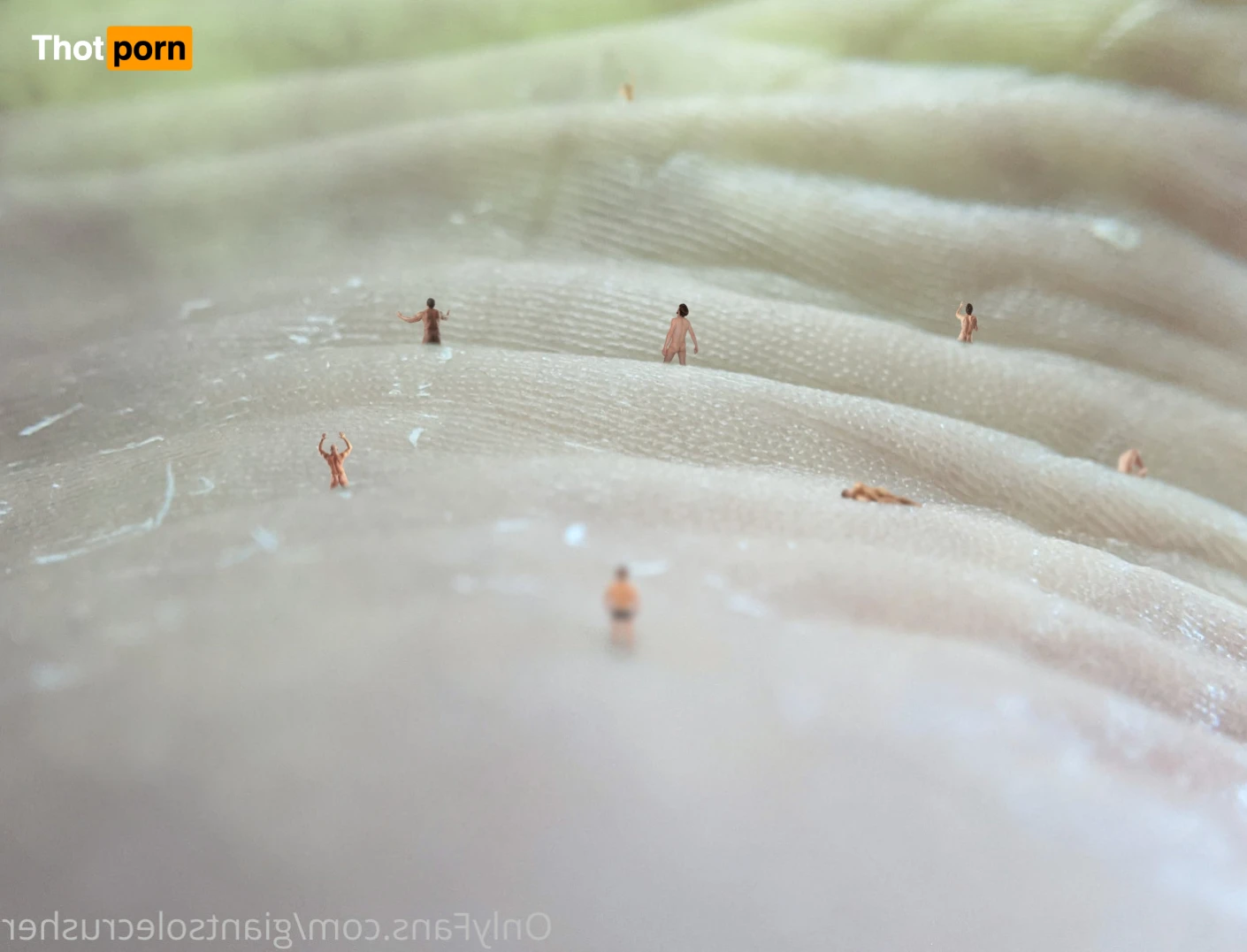 GiantSoleCrusher 15370208