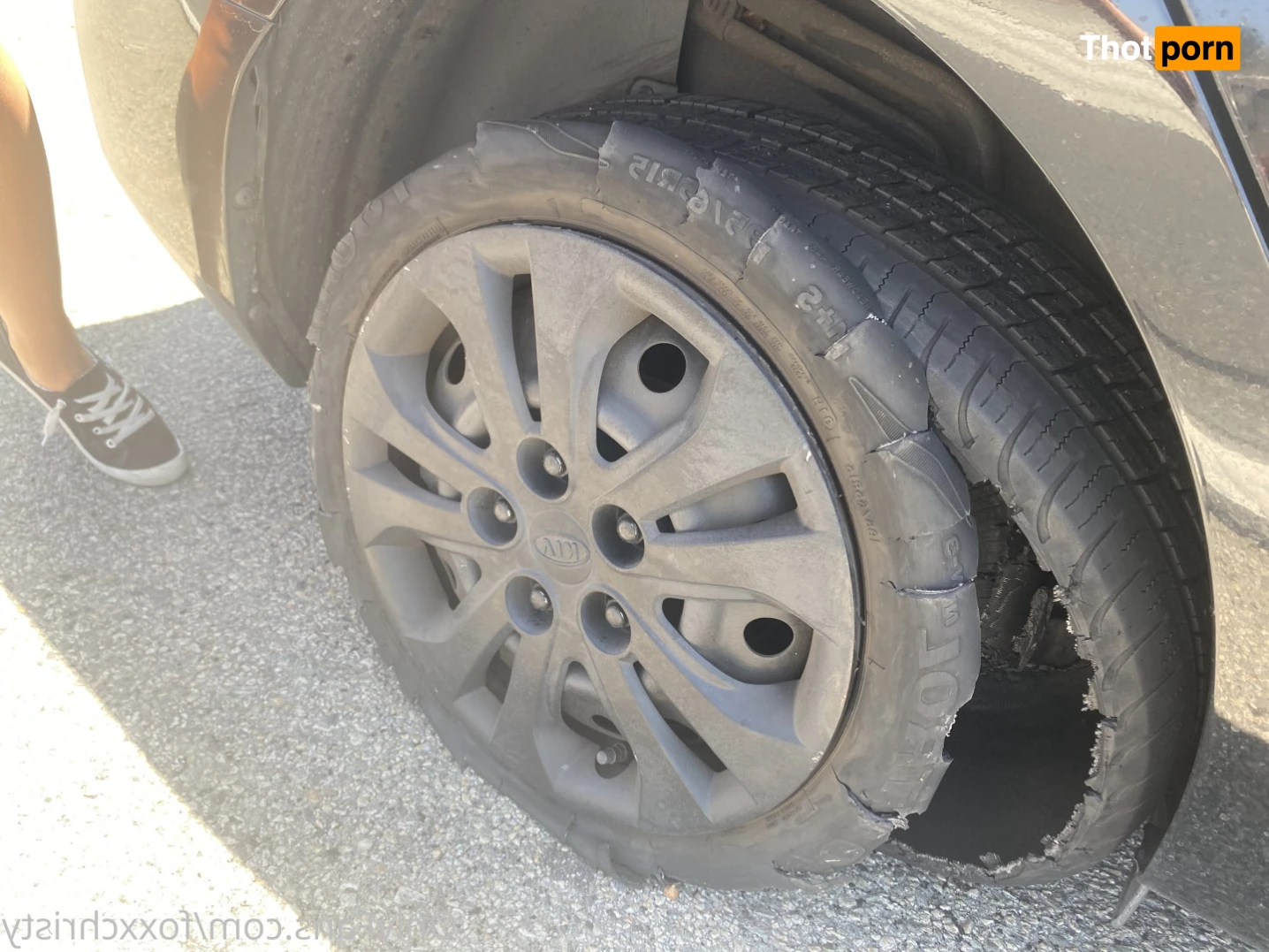 Sunkissed Foxx 13132658