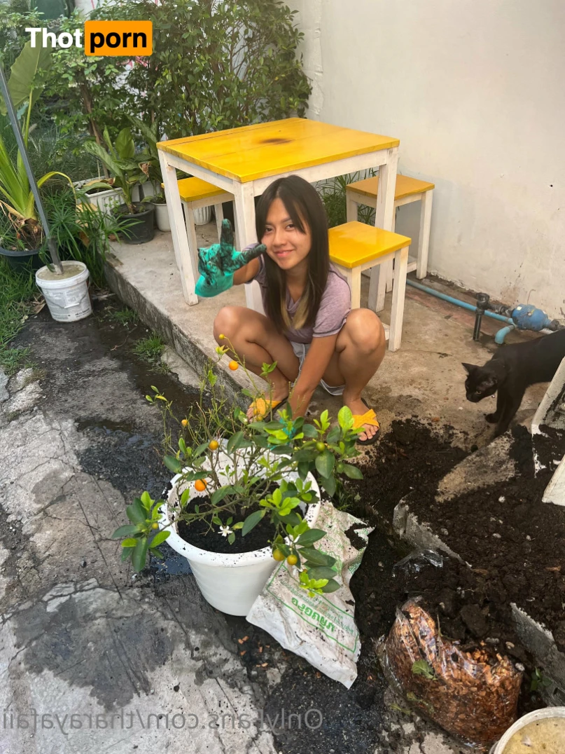 Tharaya Phumiwat 15959855