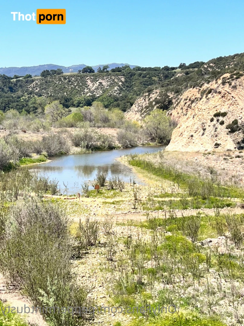 Peppermint and Dusty 13282104