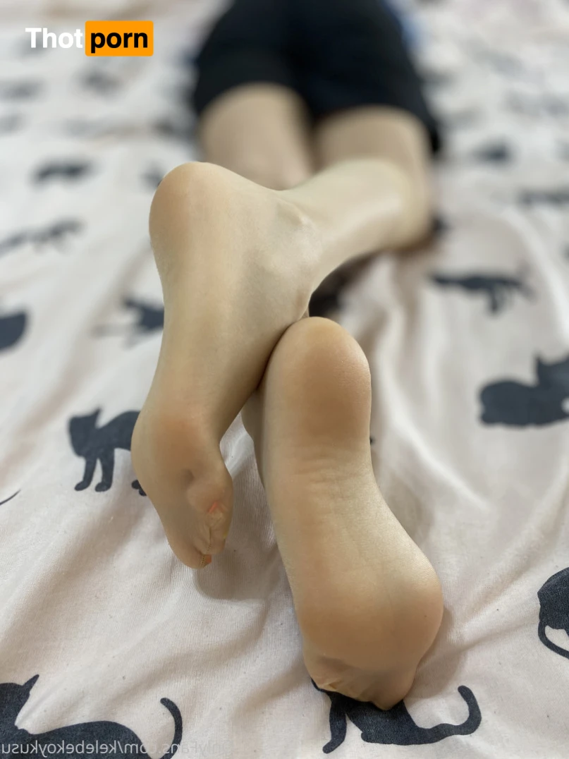 Kelebek Oykusu 15752215