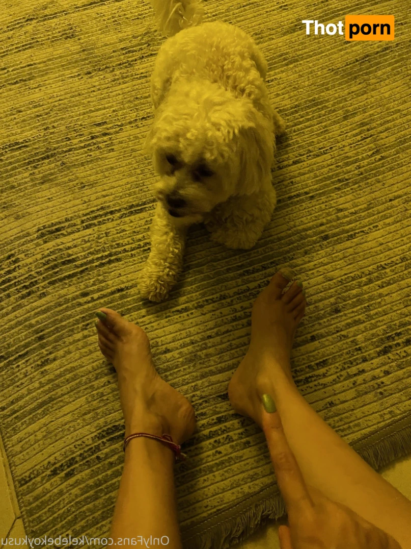 Kelebek Oykusu 15752355