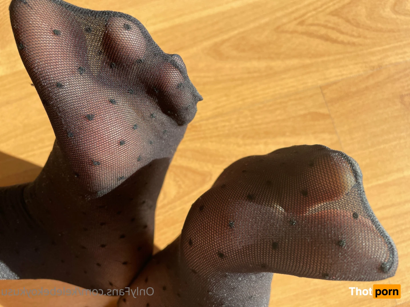 Kelebek Oykusu 15752467