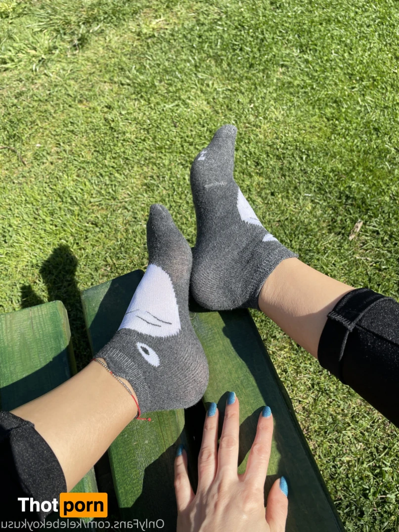 Kelebek Oykusu 15752667