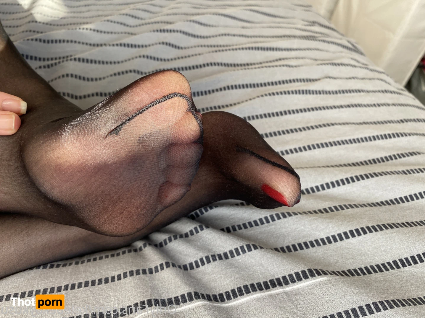 Kelebek Oykusu 15753158