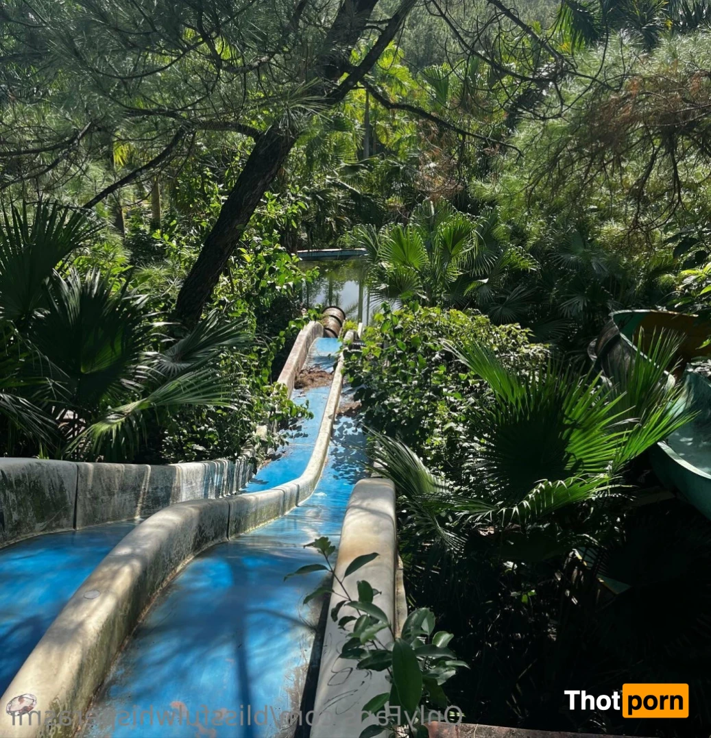 Blissful Whisper ASMR 🦋 13407819