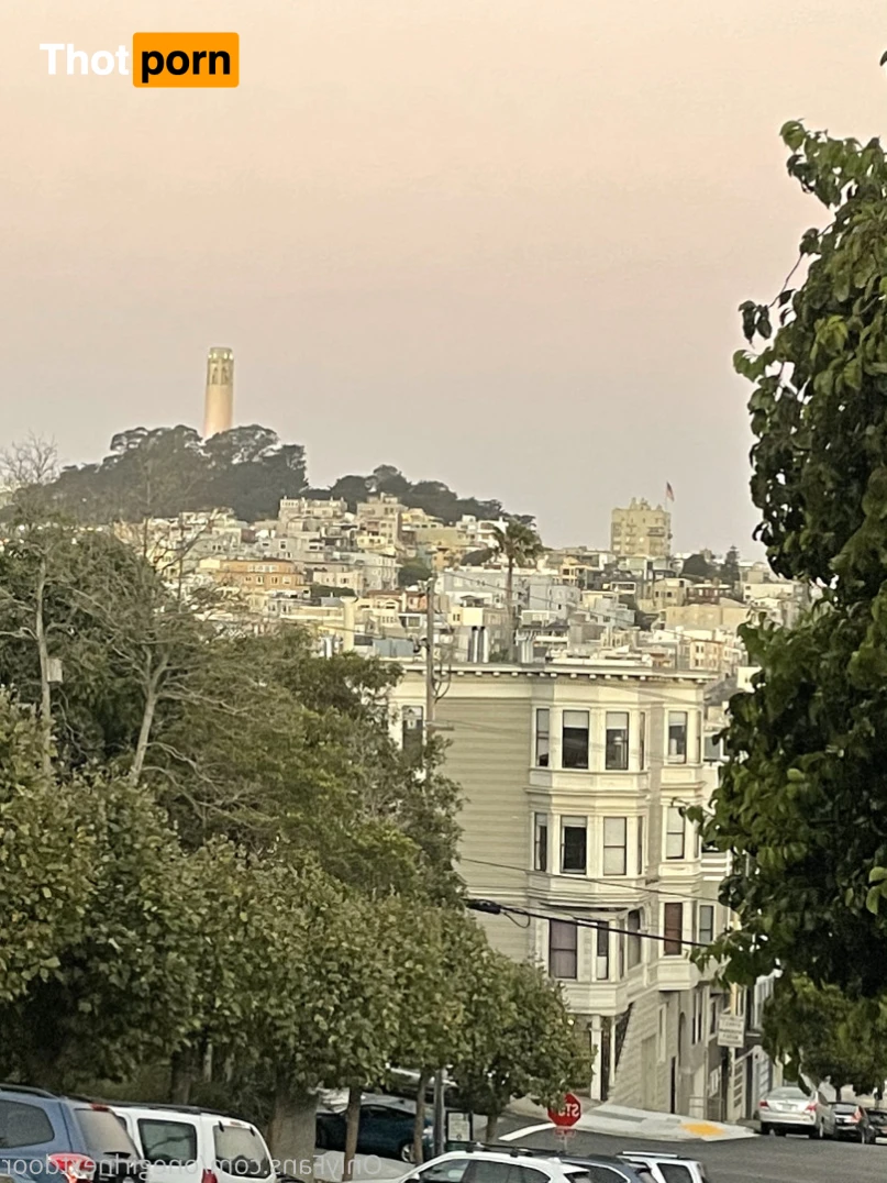 michiganmami 14928558