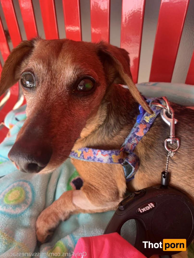 Vanessa Cage 14742470