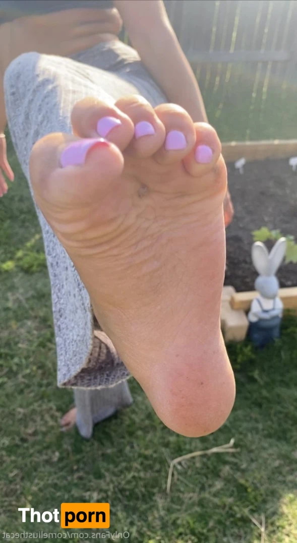 CorneliusTheCat 🐱 15936241