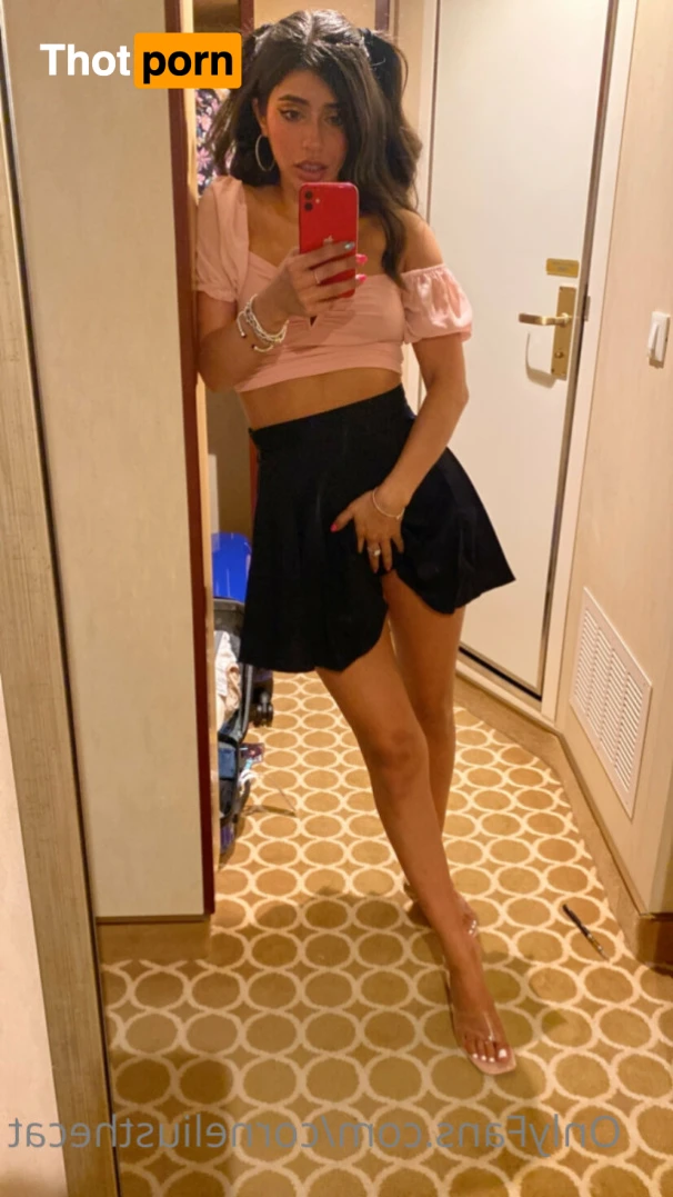 CorneliusTheCat 🐱 15968376