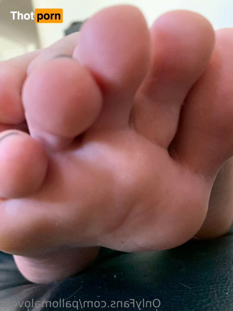 Palloma Lovely ❤️ 16337413