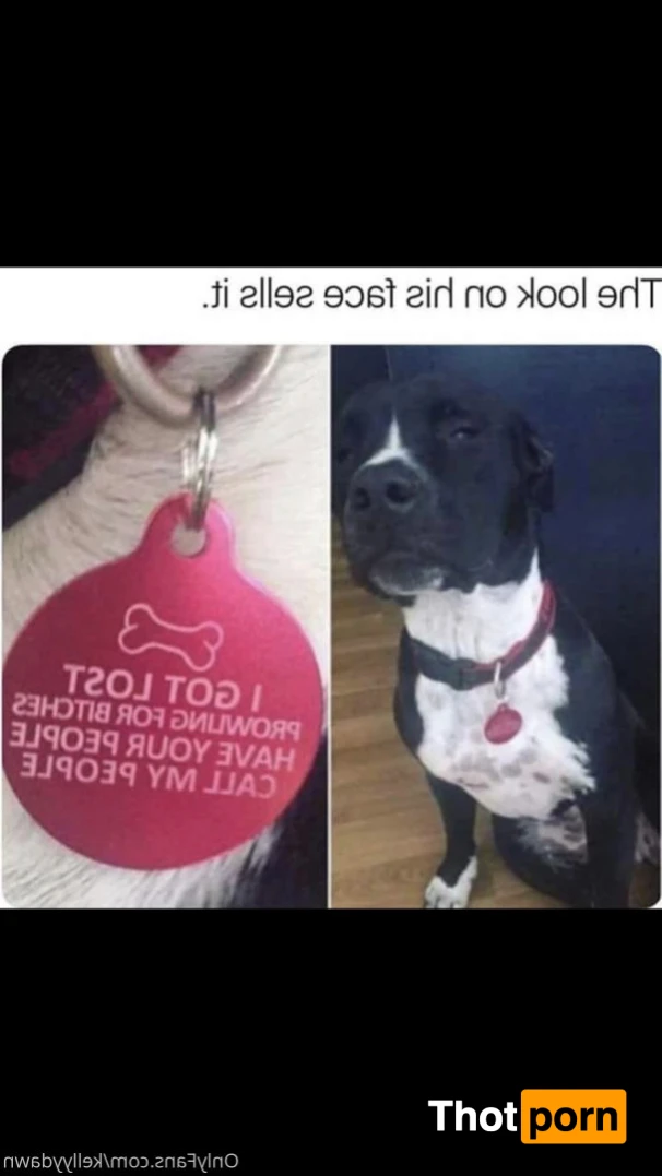 The MlLF next door 13003363