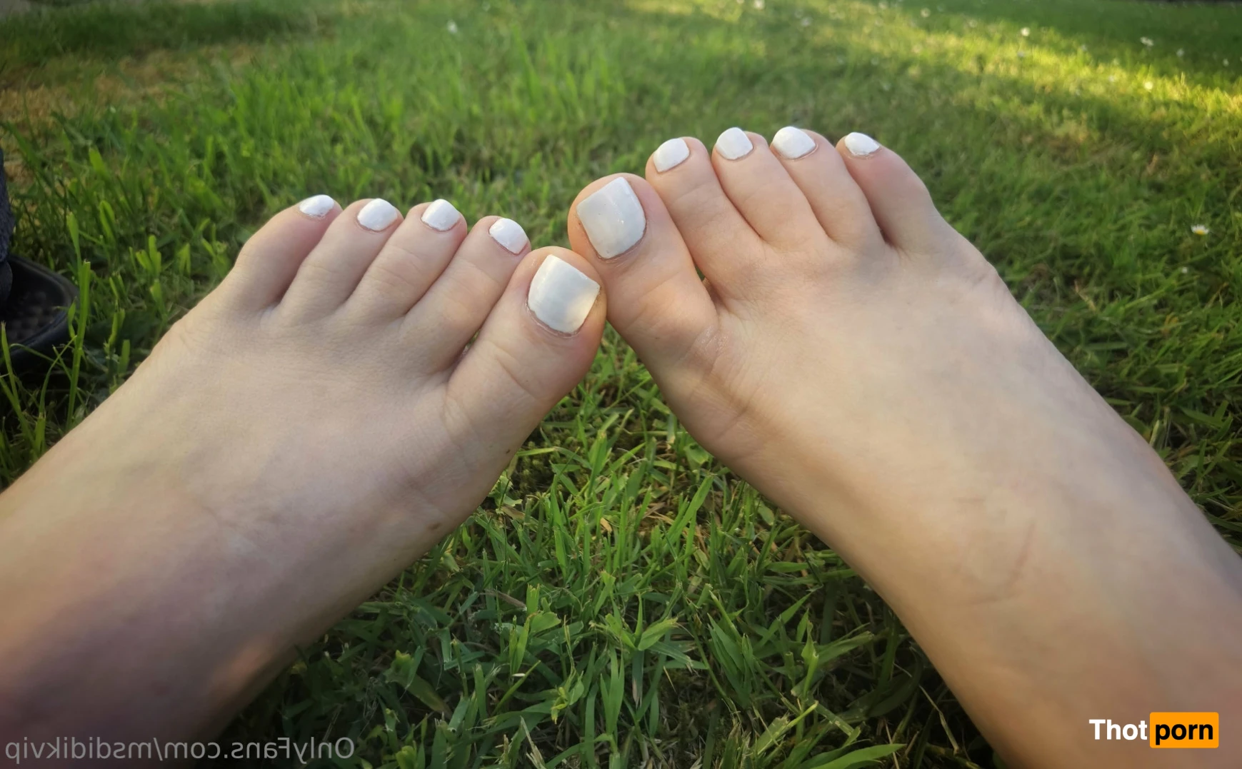 Msdidi.k VIP 15155115