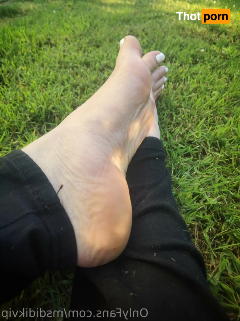 Msdidi.k VIP 15254803