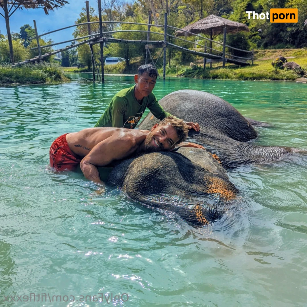 Fit Scott Flex 13904704