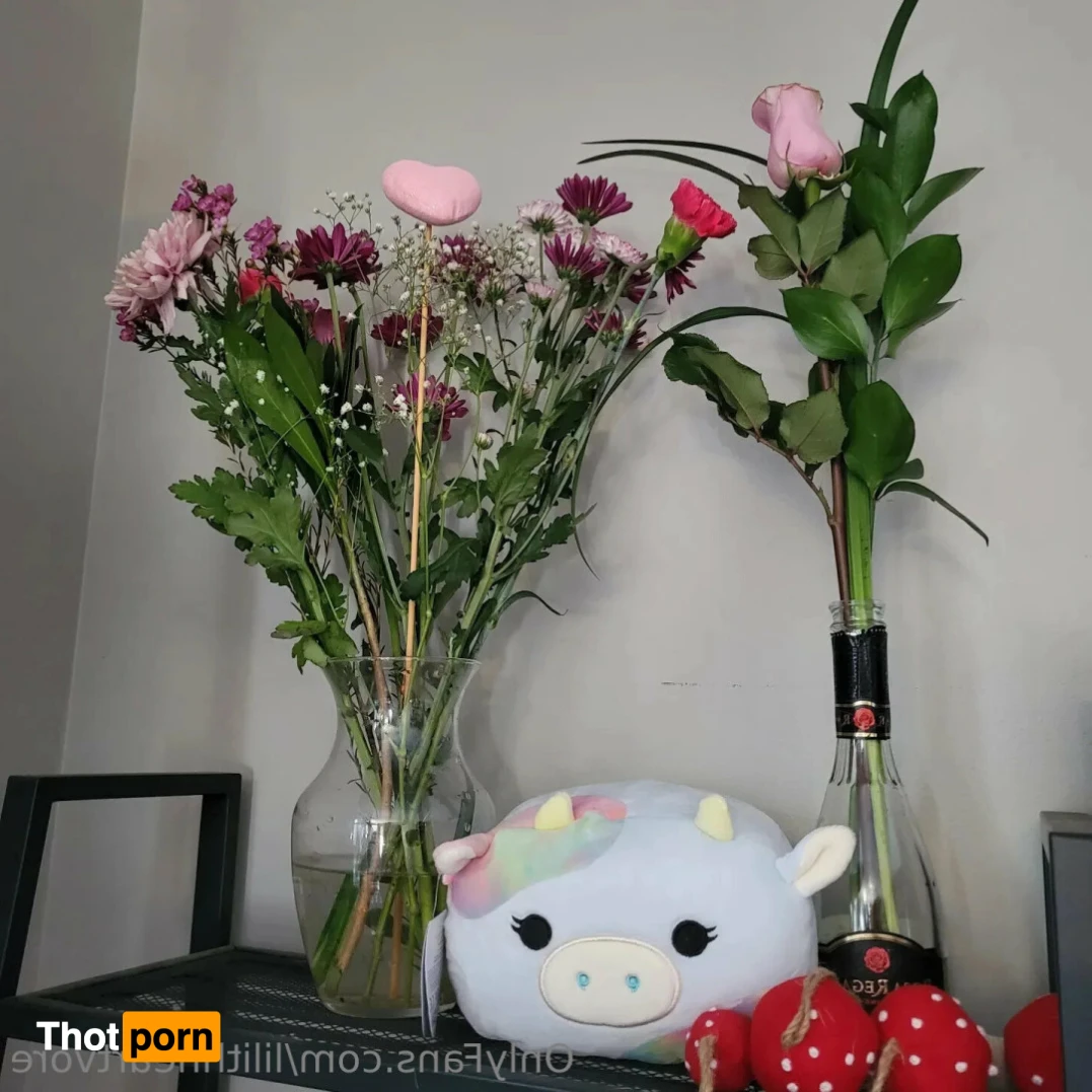 Lilith Heart ~ SQUIDITH 13691344