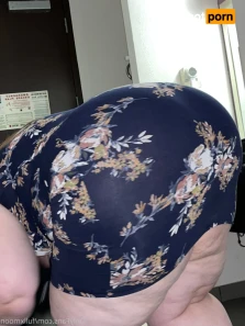 15502746