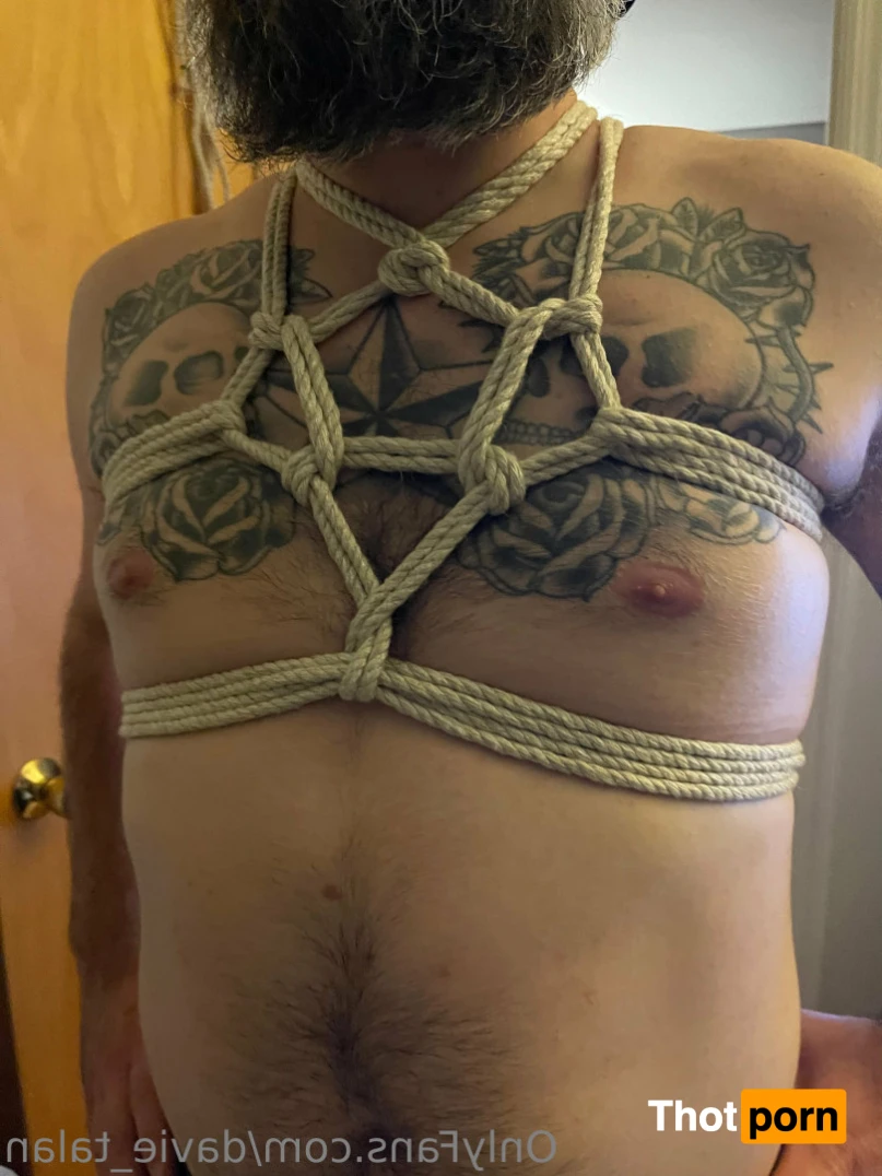 Davie Talan 15535201