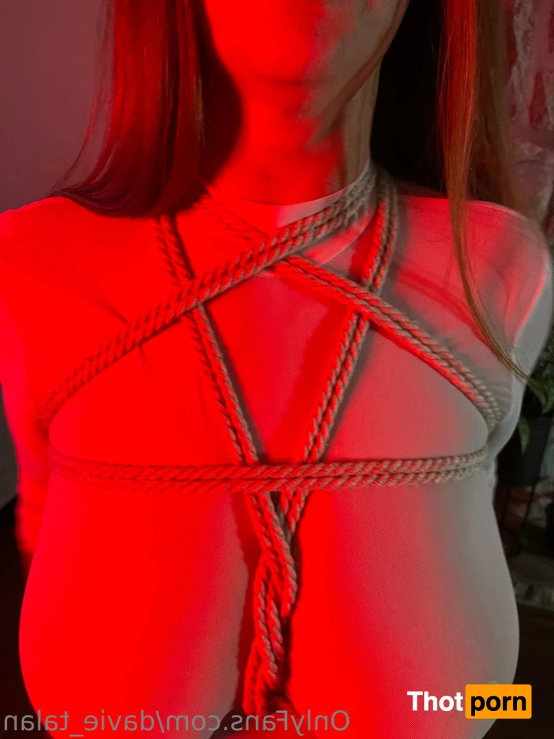 Davie Talan 15535484