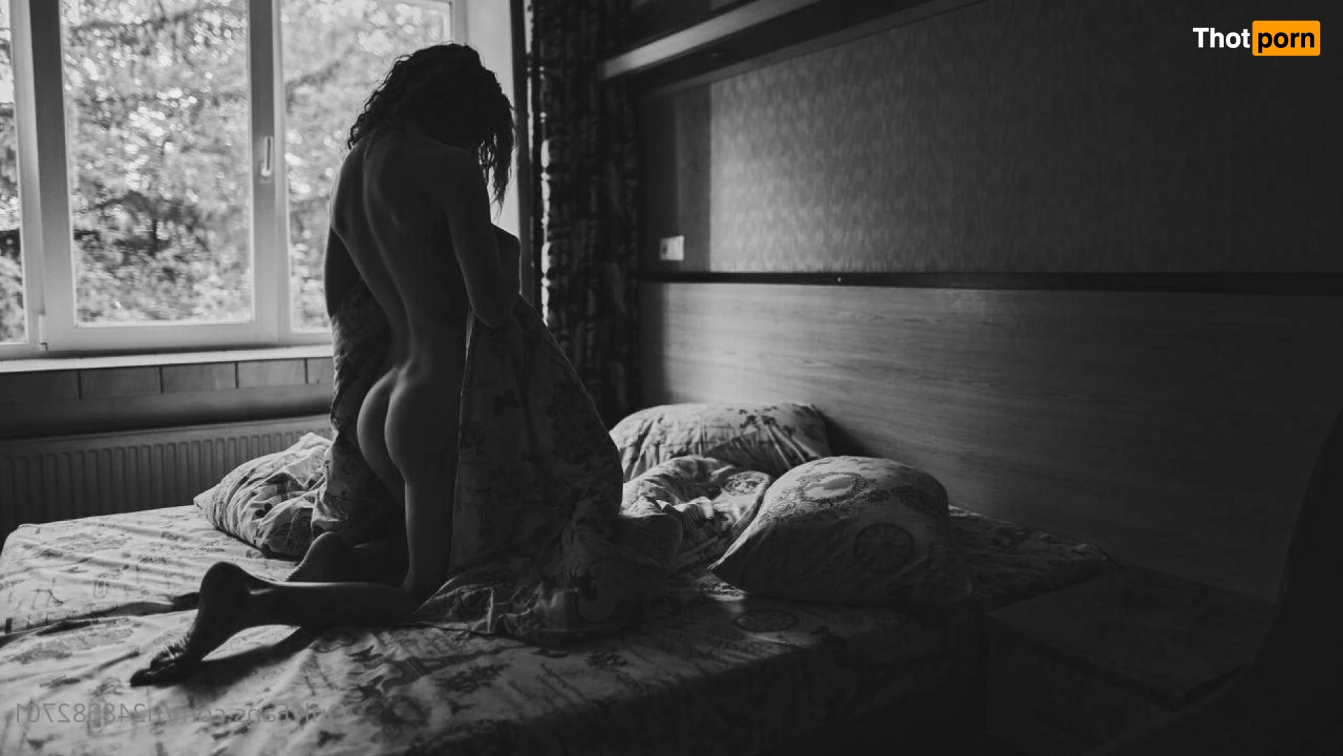 Sweet_cherry 15640083