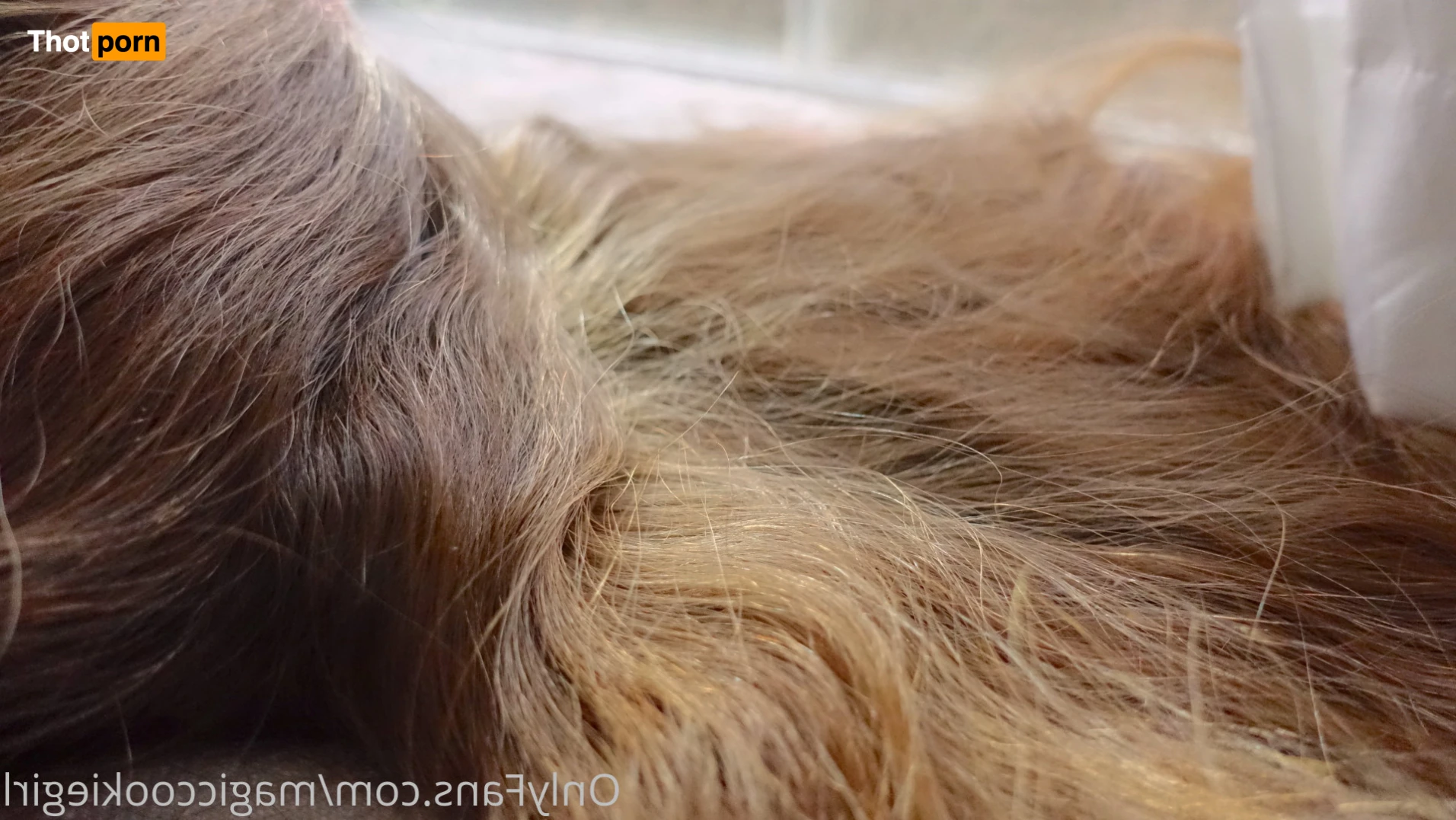 magiccookiegirl 15165422