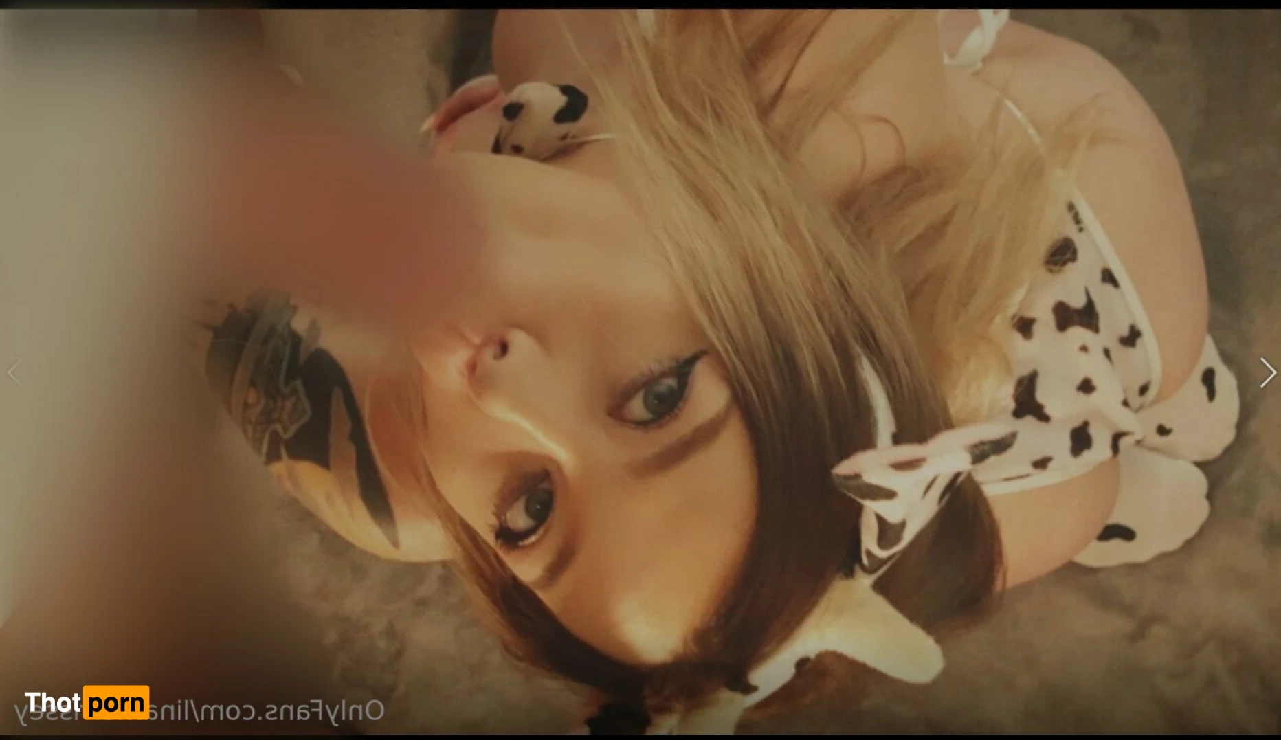 Lina Morrissey 13358344