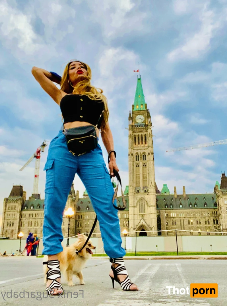 fenixsugarbaby 13731200