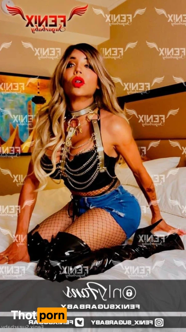 fenixsugarbaby 13731862