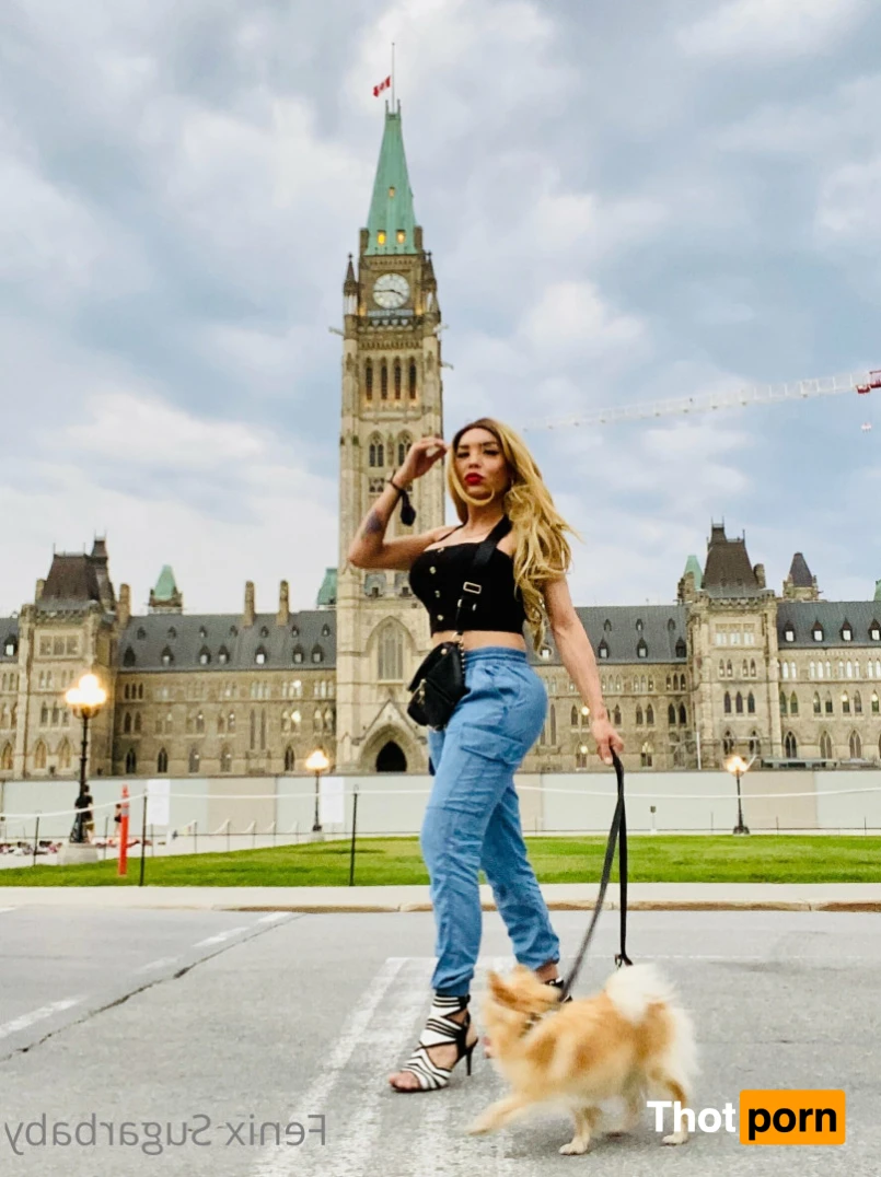 fenixsugarbaby 13732045