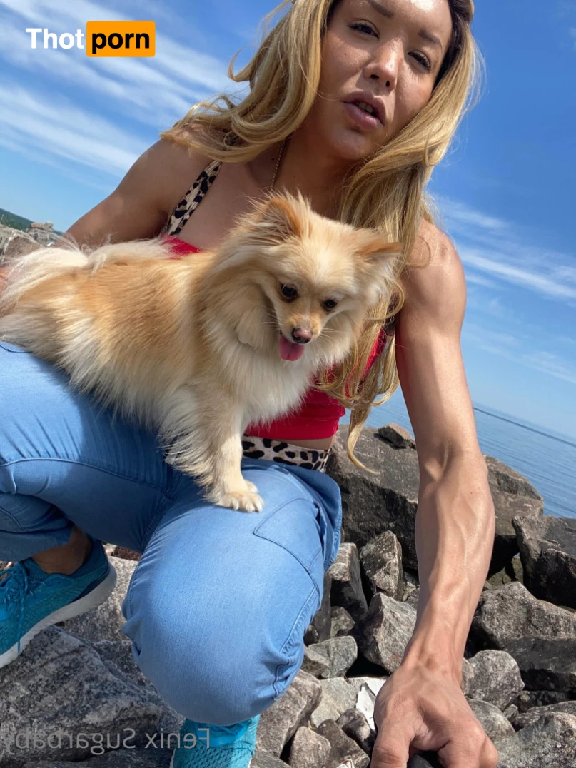 fenixsugarbaby 13732155