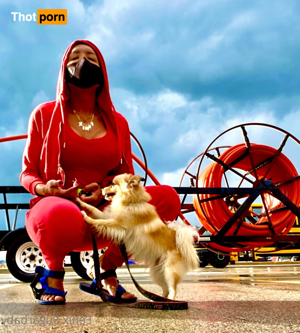 fenixsugarbaby 13732341