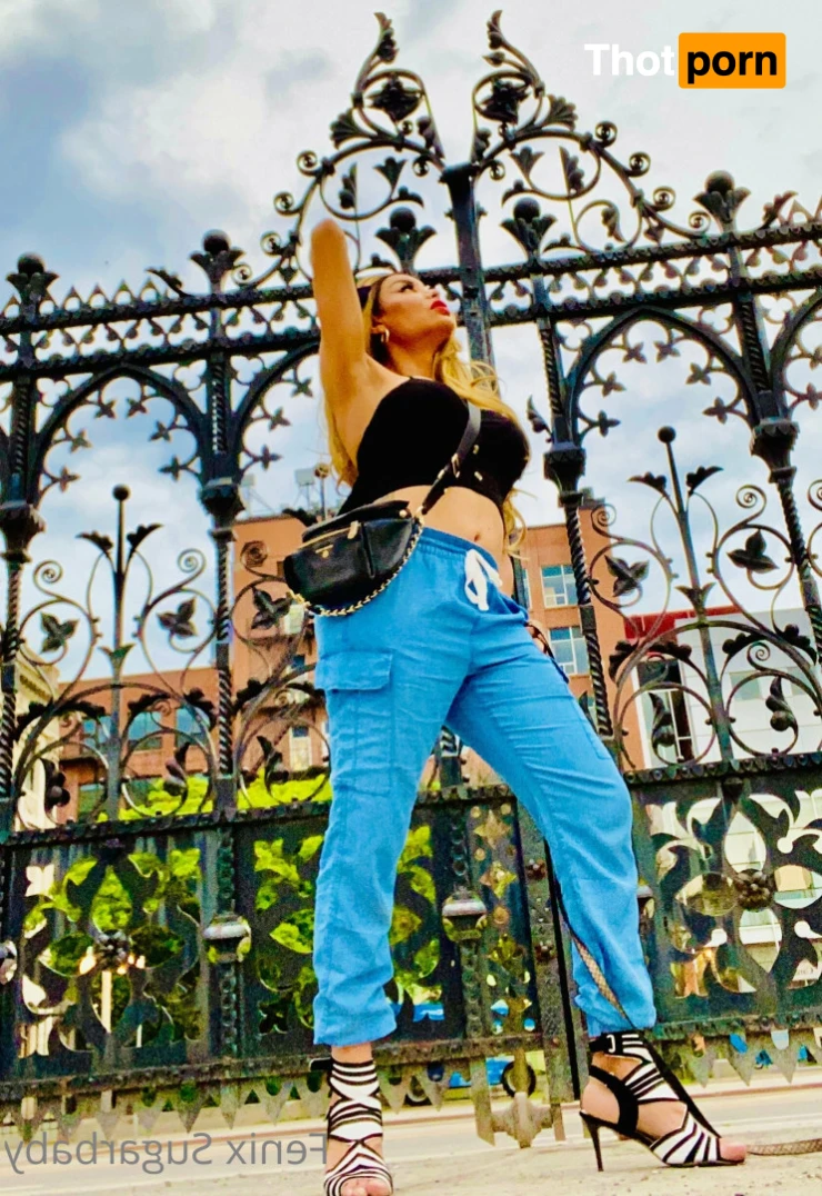 fenixsugarbaby 13732498