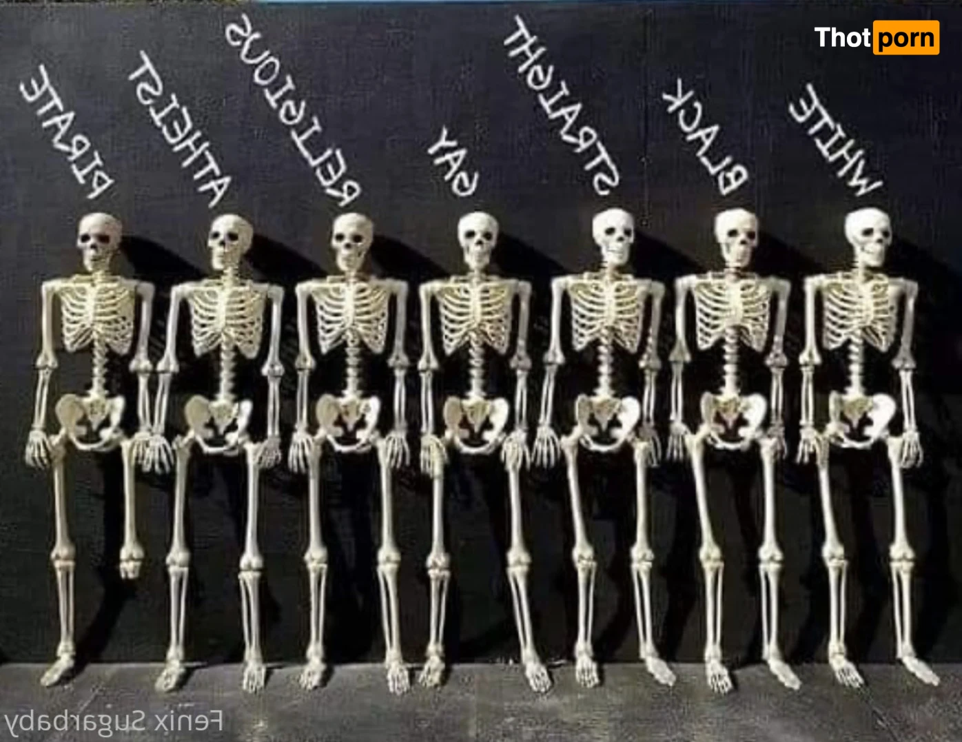 fenixsugarbaby 13732822