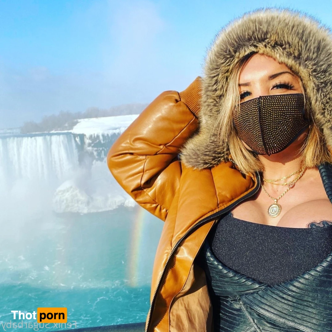 fenixsugarbaby 13732913