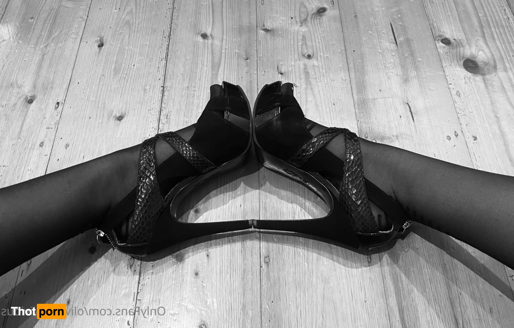 olivia_unoblivious 14374777