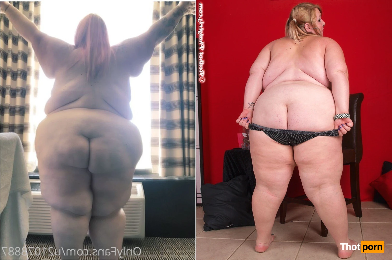 SpanxBeluga 14067265