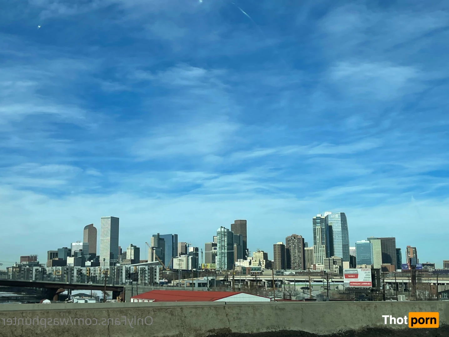 Wasphunter 🐝🥍 14993614