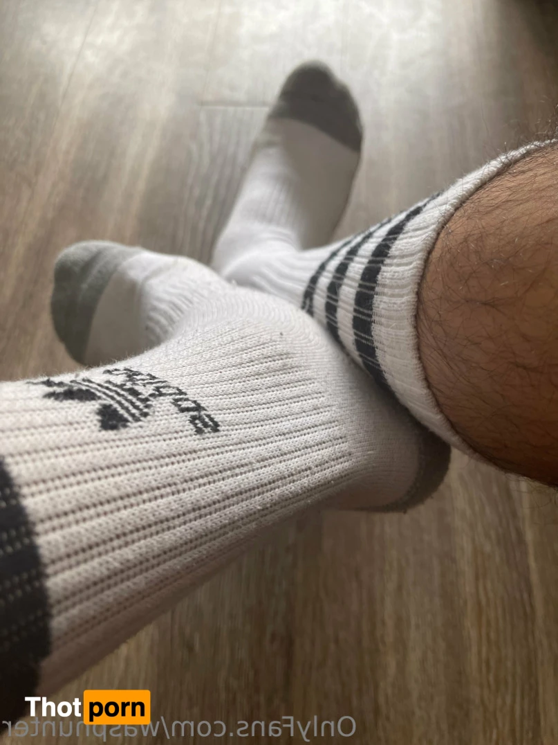 Wasphunter 🐝🥍 15000485